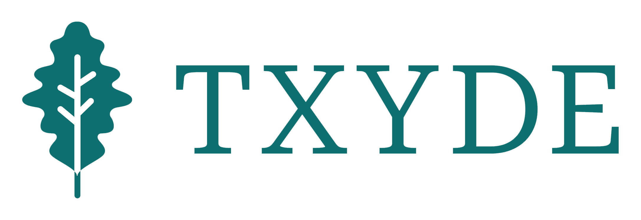 TxydelogoTransp 2